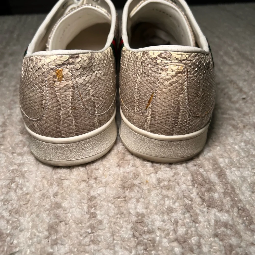 Gucci python sneakers - Picture 6 of 8